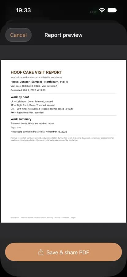 Preview of an owner report PDF
