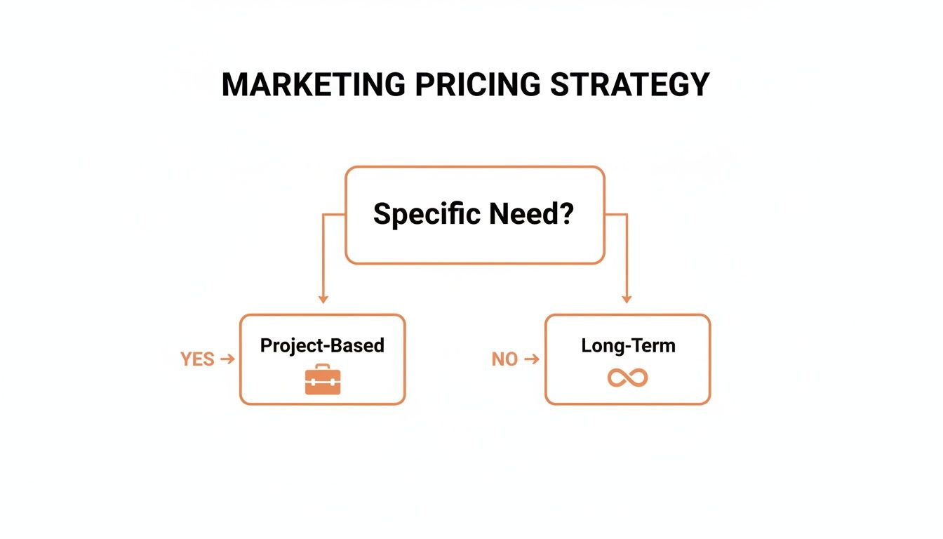 A marketing pricing strategy flowchart demonstrating choosing between project-based or long-term pricing based on specific needs.